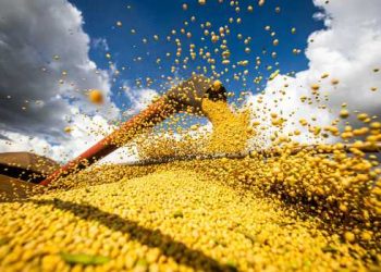 Produção agrícola brasileira superou R$ 927 bilhões em 2025