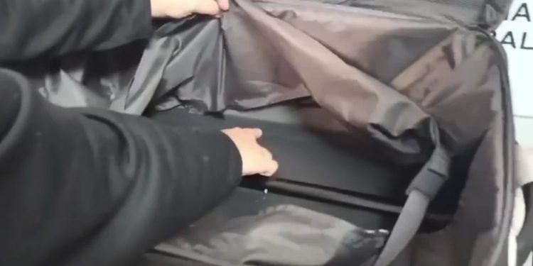 PF prende homem com 3,5 kg de cocaína escondidos em fundo falso de mala no Galeão