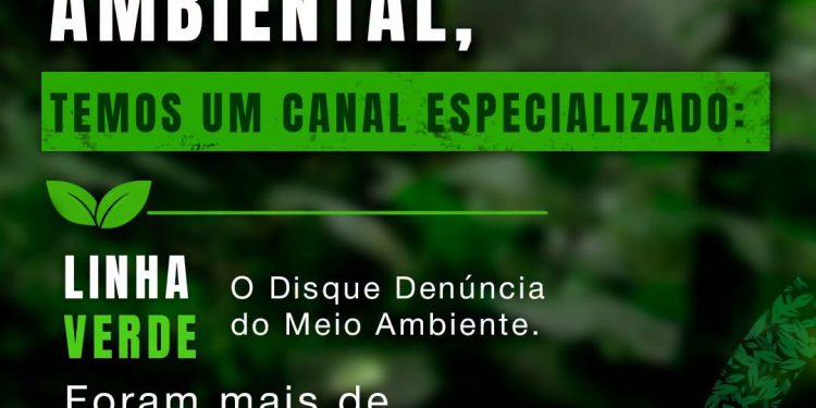 Denúncias de crimes ambientais aumentam no RJ
