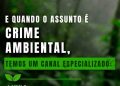 Denúncias de crimes ambientais aumentam no RJ