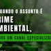Denúncias de crimes ambientais aumentam no RJ