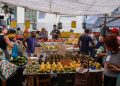 Leis e projetos da Alerj buscam reduzir desperdício de alimentos e combater a fome