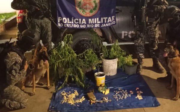 PM apreende cocaína, maconha e pés de cannabis em área de mata em Barra Mansa