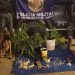 PM apreende cocaína, maconha e pés de cannabis em área de mata em Barra Mansa