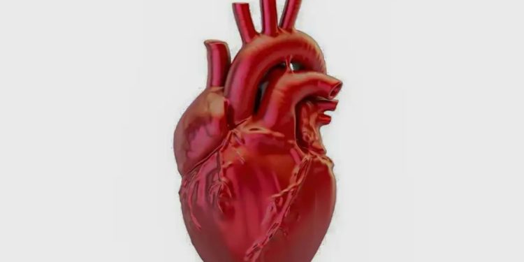 Uma pessoa morre por doença cardiovascular no país a cada 72 segundos