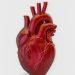 Uma pessoa morre por doença cardiovascular no país a cada 72 segundos