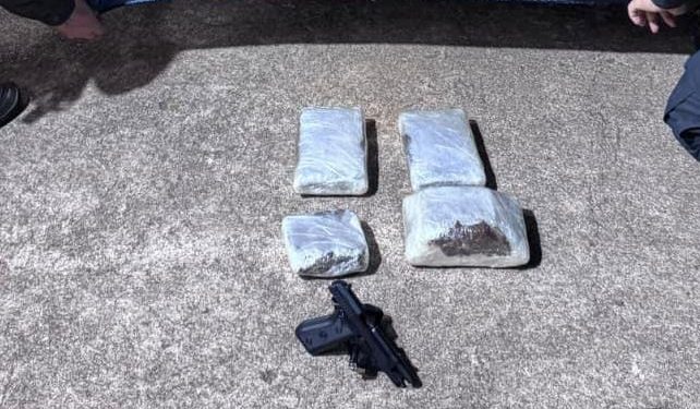 Mulher é presa em ônibus com 5 kg de maconha e pistola em Sapucaia
