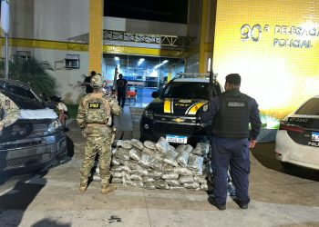 Homem é detido com 80kg de skunk em Barra Mansa