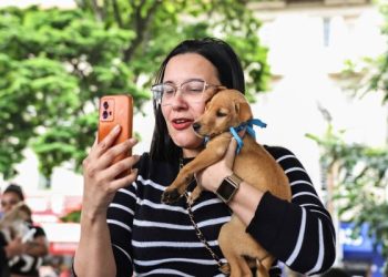 Campanha “Me Leva pra Casa” promove a adoção de 12 animais em Barra do Piraí