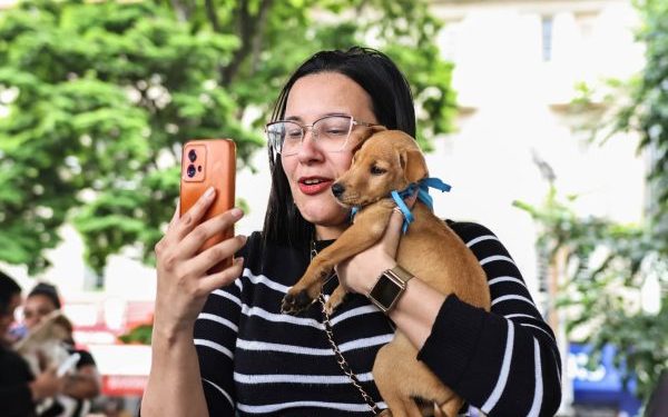 Campanha “Me Leva pra Casa” promove a adoção de 12 animais em Barra do Piraí