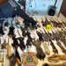 PF prende suspeitos de tráfico internacional de ovos de aves silvestres