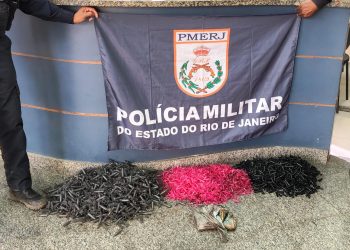 Polícia apreende 3 mil pinos usados para embalar drogas em Penedo