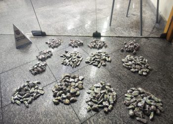 Polícia apreende 275 tabletes de maconha e 200 potes de skunk em Itatiaia