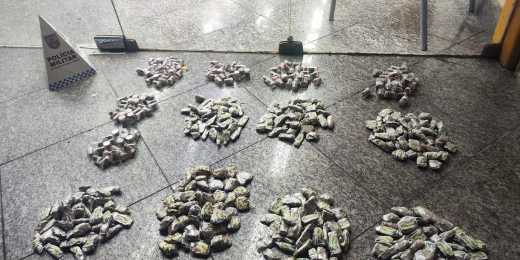 Polícia apreende 275 tabletes de maconha e 200 potes de skunk em Itatiaia