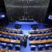 Conheça os 81 senadores que vão formar o Senado em 2027